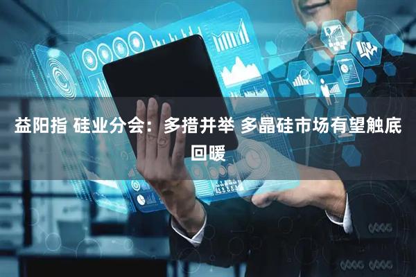 益阳指 硅业分会：多措并举 多晶硅市场有望触底回暖