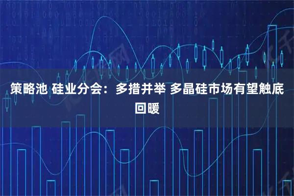 策略池 硅业分会：多措并举 多晶硅市场有望触底回暖