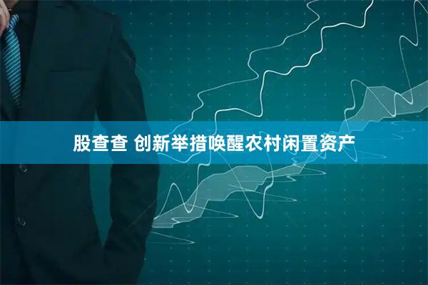 股查查 创新举措唤醒农村闲置资产