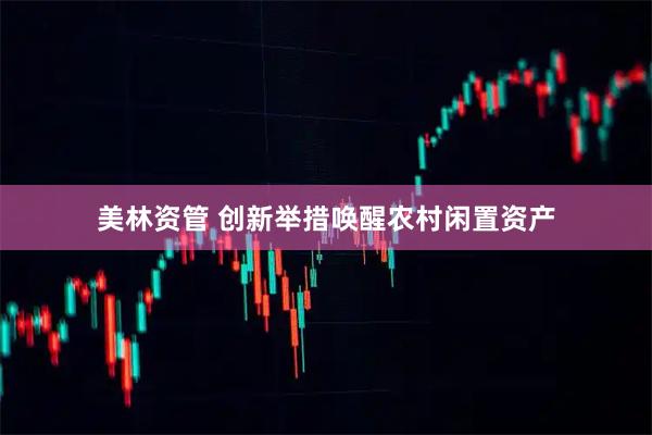 美林资管 创新举措唤醒农村闲置资产