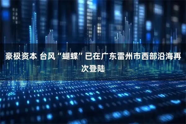 豪极资本 台风“蝴蝶”已在广东雷州市西部沿海再次登陆