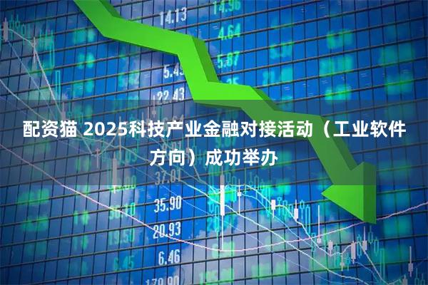 配资猫 2025科技产业金融对接活动（工业软件方向）成功举办