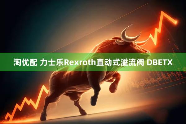 淘优配 力士乐Rexroth直动式溢流阀 DBETX