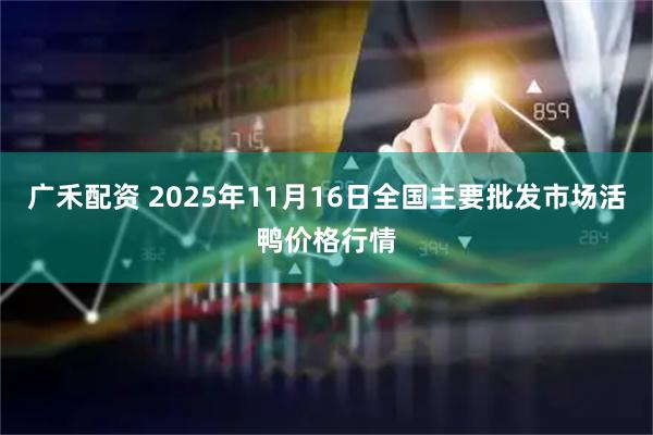 广禾配资 2025年11月16日全国主要批发市场活鸭价格行情