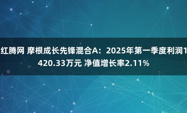 红腾网 摩根成长先锋混合A：2025年第一季度利润1420.33万元 净值增长率2.11%