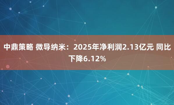中鼎策略 微导纳米：2025年净利润2.13亿元 同比下降6.12%